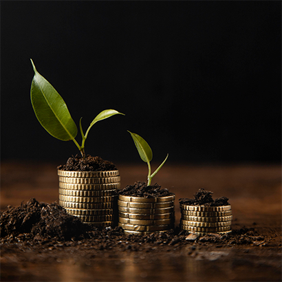 Chit Fund Companies